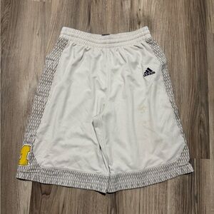 Adidas University of Michigan Basketball Shorts • Size L
